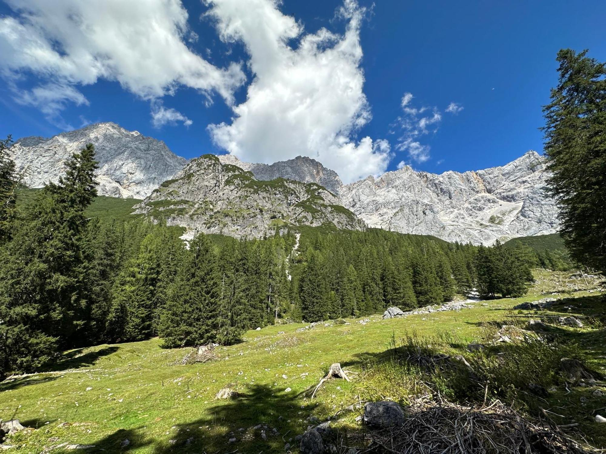 Appartements By Chalet Reiteralm -Sommercard シュラートミンク エクステリア 写真