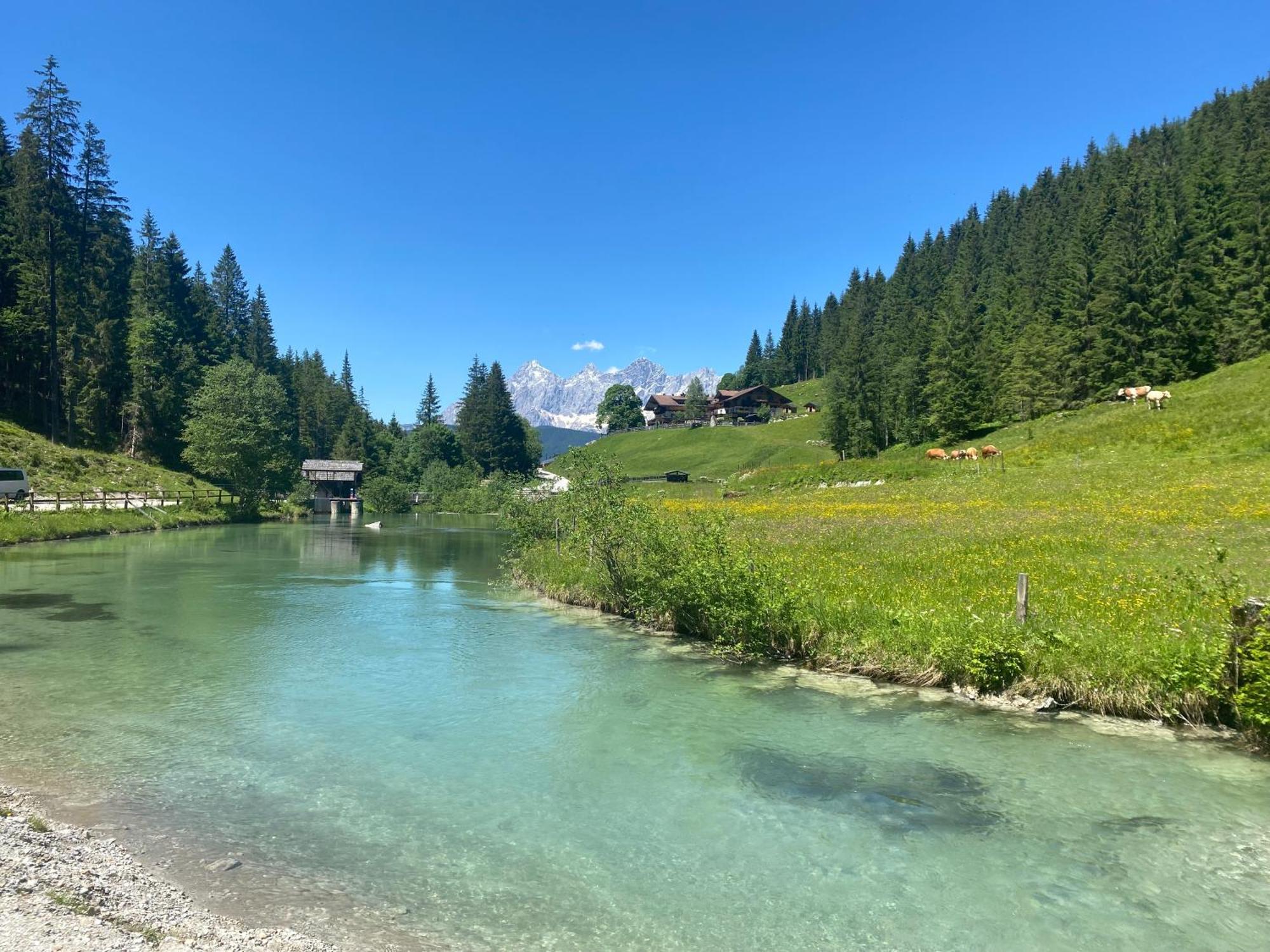 Appartements By Chalet Reiteralm -Sommercard シュラートミンク エクステリア 写真